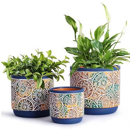 plant-pots